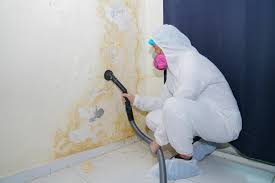 Fivepointville, PA Mold Remediation Company